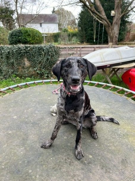 "Buddy" - 7th March 2026