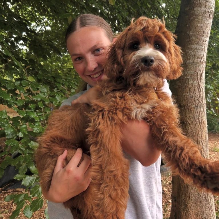 Lucy, owner of Bark and Stroll: Dog Walking & Dog Sitting in and around Caversham