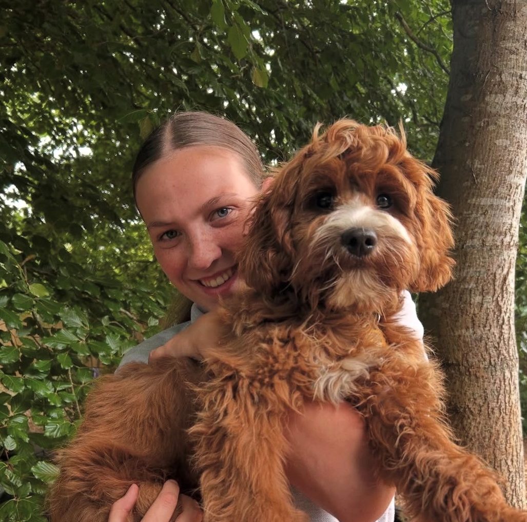 Dog Walking & Dog Sitting In & Around Caversham