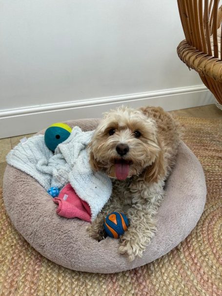 "Buddy" - 7th March 2026