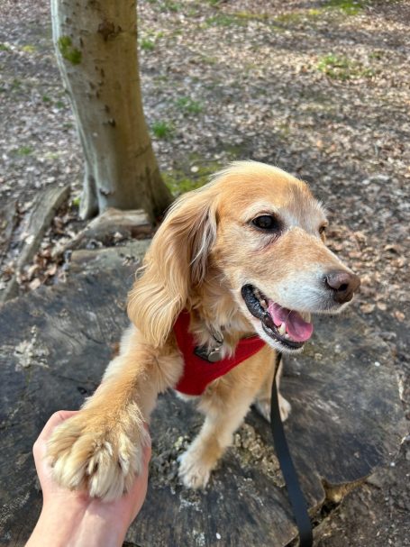 "Buddy" - 7th March 2026